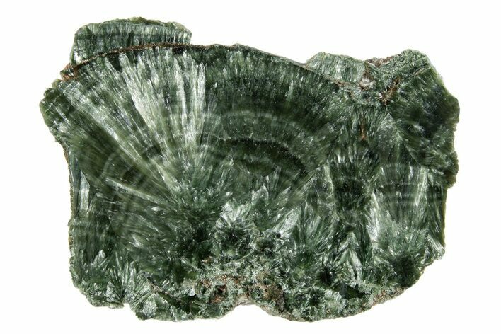 Polished Seraphinite Slab - Korshunovkiy Mine, Siberia #317742